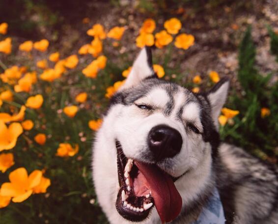 第一違反廣告法？第二不違反廣告法吧？哈哈