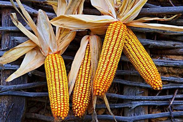 TIM截圖20190702161257.jpg TIM截圖20190702161257.jpg